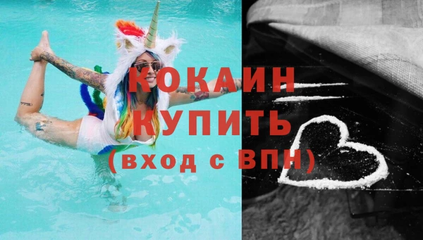 mix Богородицк